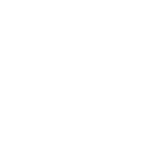 Level.Prism