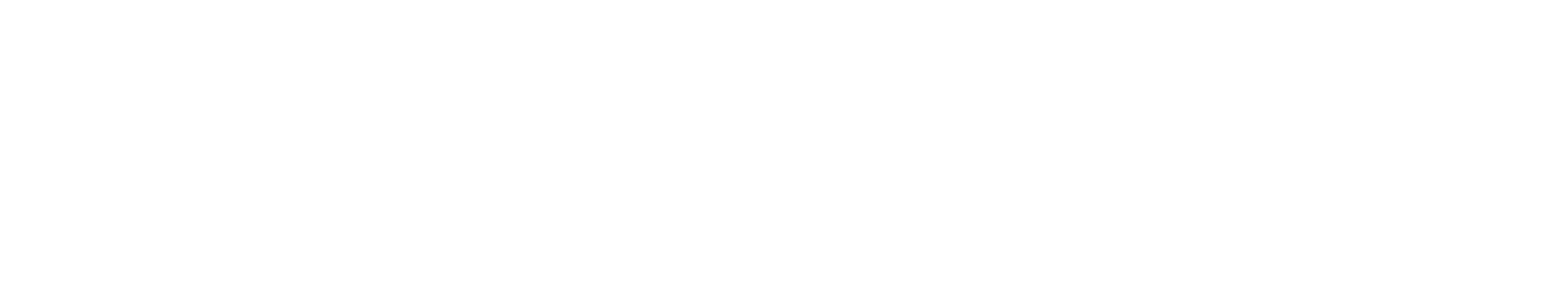 Level Agency